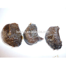 2015 organic black garlic producer from china